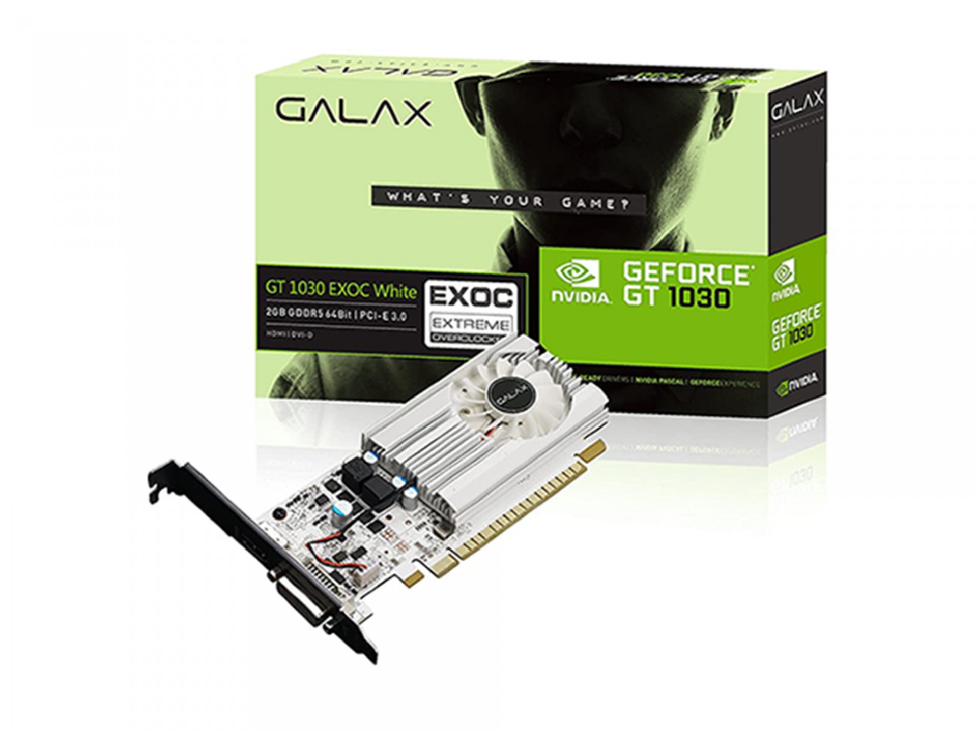 GALAX GeForce GT 1030 EXOC White 2GB GDDR5 Graphics Card